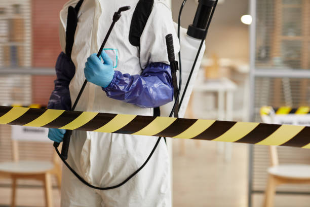 Professional Blood Cleanup technician working in Mantua, UT